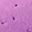Lilac Purple