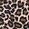 Leopard Dark Gray