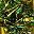 Green Gold Tone
