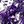Purple Silver Tone