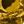 Gold Tone