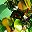Green Gold Tone