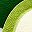 Avocado Green