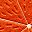 Citrus Orange