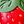 Strawberry Red