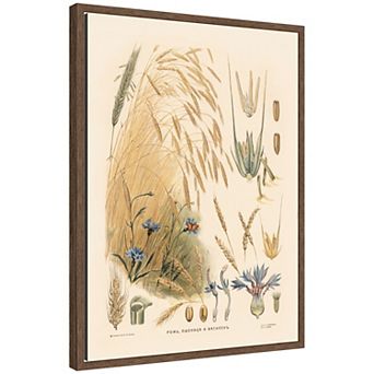 Vintage Rye Illustration Framed Canvas Wall Art Print