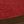 Cardinal Red