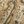 Tan Paisley
