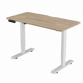 Heybly 55" Electric Computer Desk with Type-C Charging Port, Height Adjustable