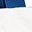 White Navy