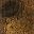Rustic Brown