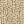 Beige Beige