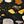 Black Multi