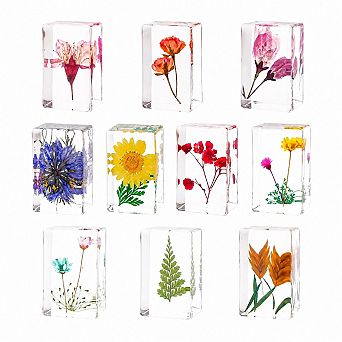 10 pc Real Flower Specimen Resin Paperweights Desk Scientific Display Supplies
