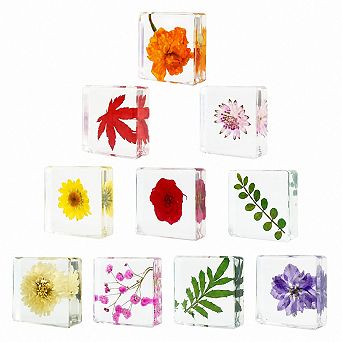 10 pc Dried Flower Resin Paperweights Office Home Decor Gifts
