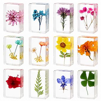 12 Pressed Flower Resin Paperweights Botanical Home Desk Decor Educational Supplies