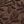 Leaves Brown