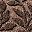 Leaves Brown