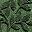 Leaves Green