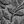 Leaves Grey
