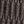 Dark Brown Is On
