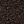 Cocoa Brown