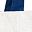 White Navy