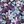 Light Purple