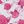 Larissa Floral Pink