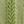 Antique Green