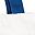 White Navy