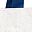 White Navy