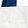 White Navy