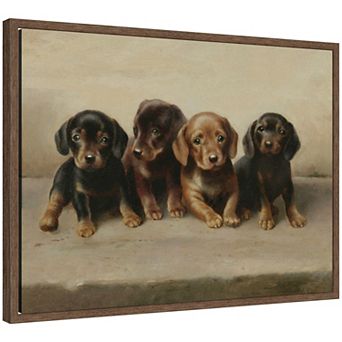 Four Dachshund Puppies Framed Canvas Wall Art Print