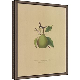 Beurre Giffard Pear Framed Mounted Canvas Wall Art Print