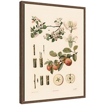 Apple 1910 T va I D Sytina Framed Canvas Wall Art Print