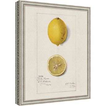 Lemon Villa France Amanda Newton Framed Mounted Canvas Wall Art Print