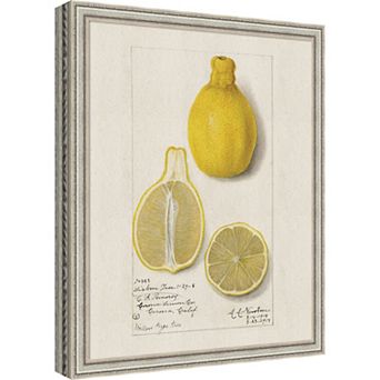Lemon Lisbon Amanda Newton Framed Mounted Canvas Wall Art Print