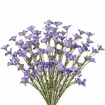 10 pc Artificial Silk Wildflowers Stems Faux Floral Arrangements Home Wedding Decor
