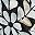 White Vines