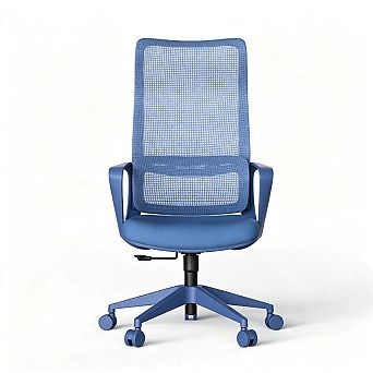 Ergonomic Office Chair 350LBS, Mesh High Back, Adjustable Lumbar Support, Foam Seat, Fireproof