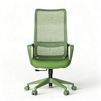 Ergonomic Office Chair 350LBS, Mesh High Back, Adjustable Lumbar Support, Foam Seat, Fireproof