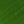Green Tone