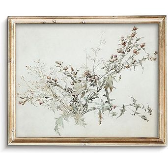 Vintage Botanical Wildflower Wall Art Print Watercolor Floral, Unframed