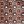 Brown Print