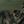 Army Green Camo