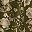 Army Green Floral