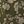 Army Green Flowers