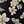 Black Flowers