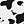 Black Cow Spots